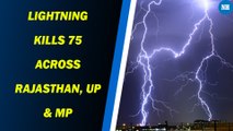 Lightning kills 41 in Uttar Pradesh, 20 in Rajasthan, 7 in Madhya Pradesh