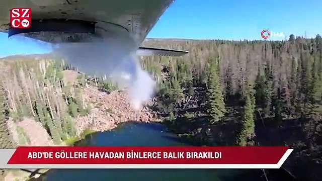 ABD’de göllere havadan binlerce balık bırakıldı