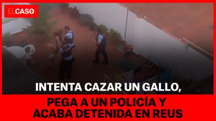 Intenta cazar un gallo, pega a un policía y acaba detenida en Reus