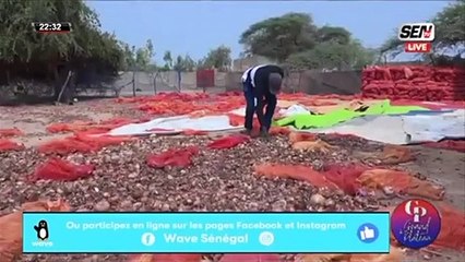 Saint Louis: le cri de coeur des paysans de la vallée