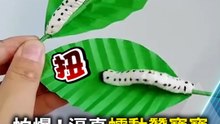 怕爆！逼真蠕動蠶寶寶 一張色紙+衛生紙搞定！