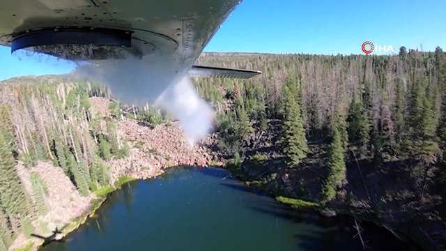 - ABD’de göllere havadan binlerce balık bırakıldı
