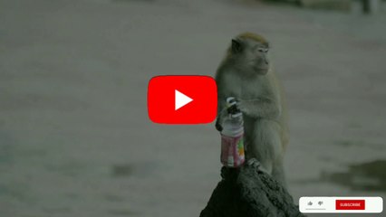 यह सोडा कॅन्स से 20X चाँद पर जाकर वापस आ सकते है !