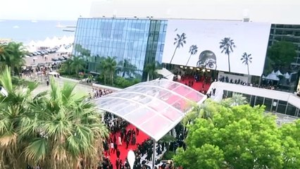 ‘The French Dispatch’ de Wes Anderson disputa Palma de Ouro em Cannes 🎬