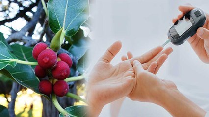 Corona काल में Diabetes Patient जरूर खाएं Banyan Fruit, होंगे जबरदस्त फायदे | Boldsky