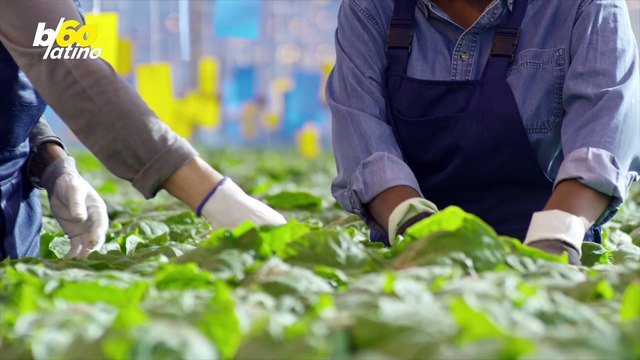 Equipaje Retrasado y Otras Razones Por Las Que Aerolíneas Pronto Le Tendrán Que Dar Un Reembolso