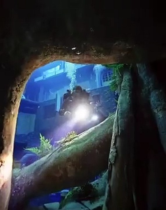 Découvrez la piscine la plus profonde du monde qui se trouve à Dubaï - VIDEO