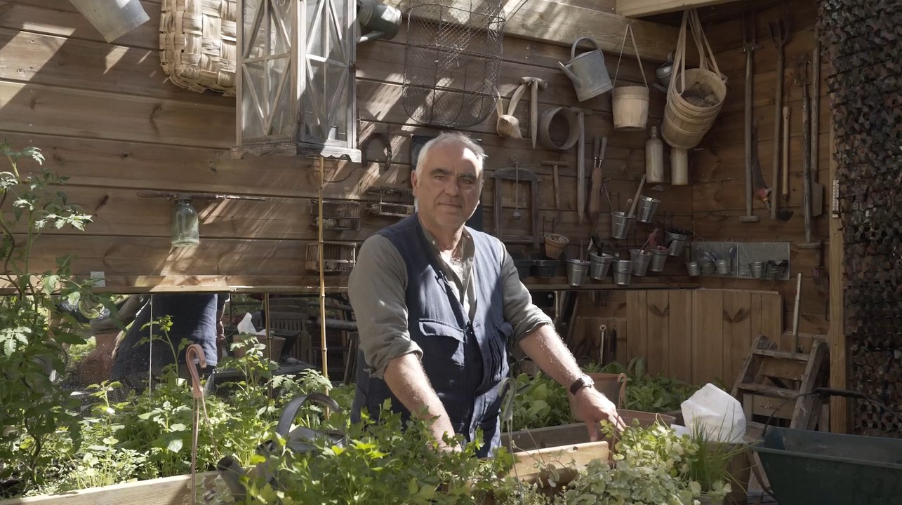 Un balcon fleuri tout l'été ? Focus sur ces fleurs vivaces d’exception !