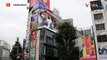 BIKIN HEBOH! Kucing Raksasa Kuasai Papan Reklame di Jepang