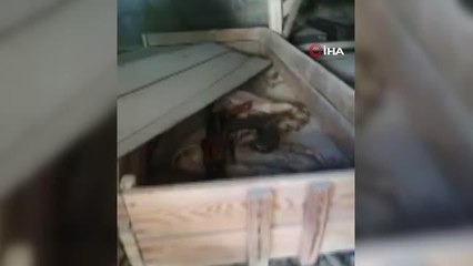 Diyarbakır'da cami bahçesinde bulunan eski tabuttan cephanelik çıktı