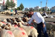 Şahinbey'de kurban satış ve kesim yerleri belirlendi