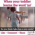 When your toddler learns the word ‘no’