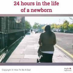 24 hours in the life of a newborn