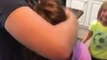 Parents surprise kids with newly adopted sister
