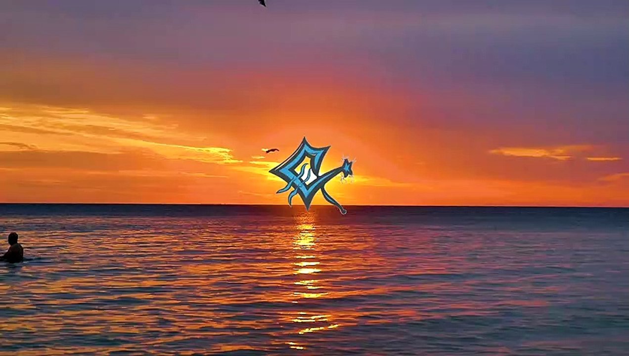 Sunset on a Beach - Creative Common Video 161 (Laurent Guidali)
