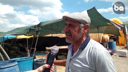 Etimesgut Kurban Pazarı | Besiciler Hizmet Bekliyor