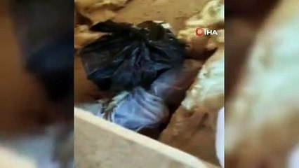 Cami bahçesinde tabut içerisinden cephanelik çıktı