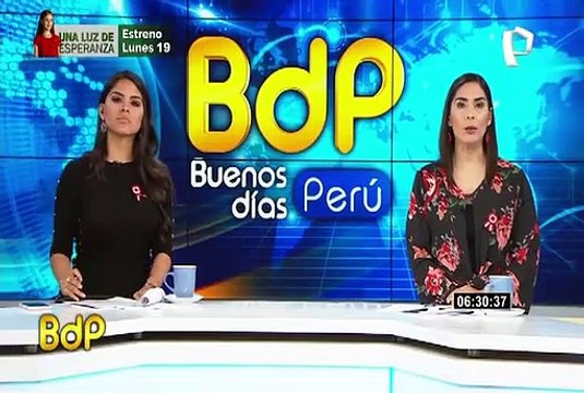 Derrumbe en Miami: hallan vivo a gato que permaneció 16 días bajo los escombros