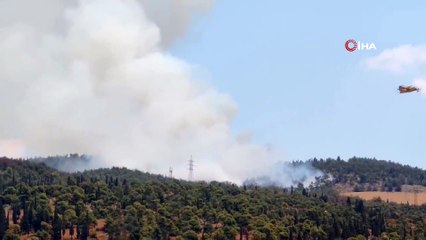 - Selanik’te orman yangını: Bir otel tahliye edildi