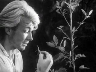 Robinson Crusoe Tv Series 1964 Ep. 1