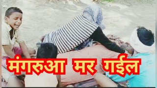 Bhojpuri  video  2021 | मंगरुआ मर गईल | New funny video |  Whatsaap funny  video | Comedy video 2021