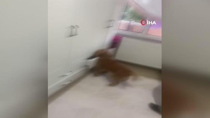 Son Dakika | İstanbul'da uyuşturucu operasyonu: 22 şüpheli yakalandı