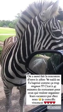 David Gallienne et son chéri Aurélien au zoo. Juillet 2021