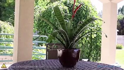 Bebek bezi deyip geçmeyin