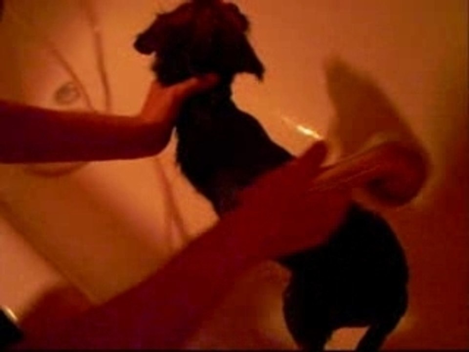 El baño de CAYA