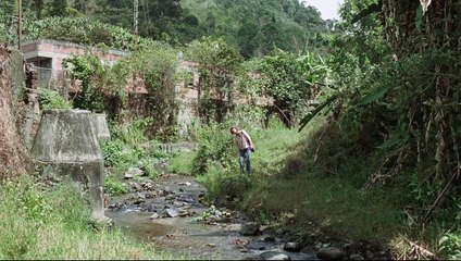 Memoria Trailer #1 (2021) Tilda Swinton, Elkin Díaz Movie HD