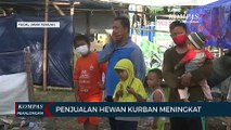 Penjualan Hewan Kurban Meningkat