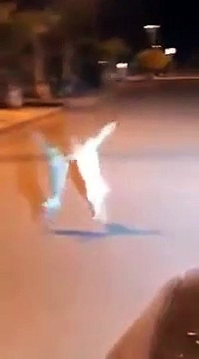 Two Hares Fighting Ft Two Indians With Horrible English Fighting