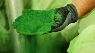 How one startup is turning harmful algae into plastic shoe parts