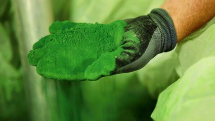 How one startup is turning harmful algae into plastic shoe parts