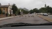 Traffic Comes to Standstill as Bunch of Ducks Cross Road