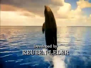 Flipper 1995 S02e09 Wedding Bell Blues