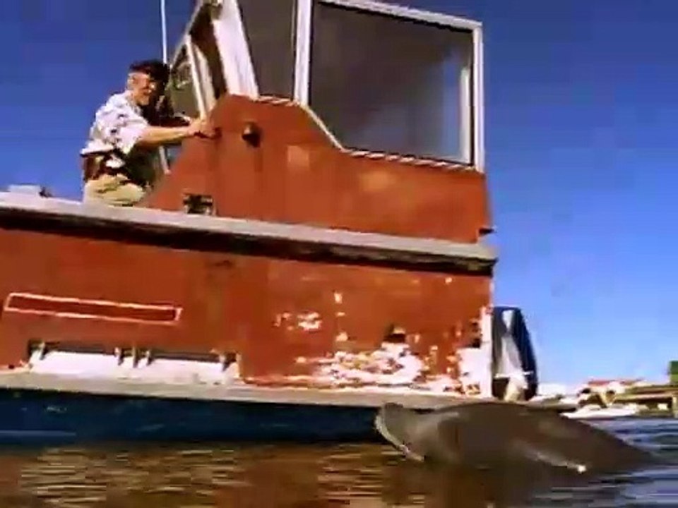 Flipper 1995 S02e02 Sea Horse