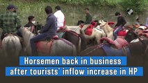 Horsemen back in business after tourist inflow increases in Himachal Pradesh