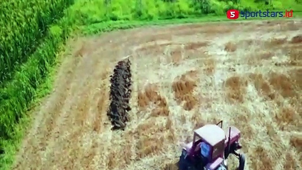 Italia Juara Piala Eropa 2020, Petani ini Buat Sawahnya Jadi Karya Seni
