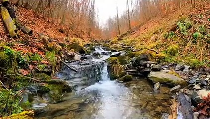 relaxing music with beautiful nature  short  amazing video