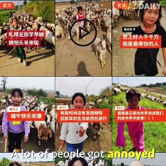 The Chinese Girl Who Leads 300 Goats _