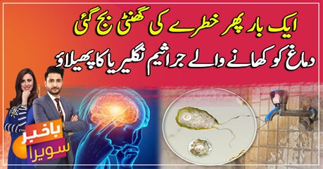 Karachi sees 5th Naegleria fowleri death of 2021