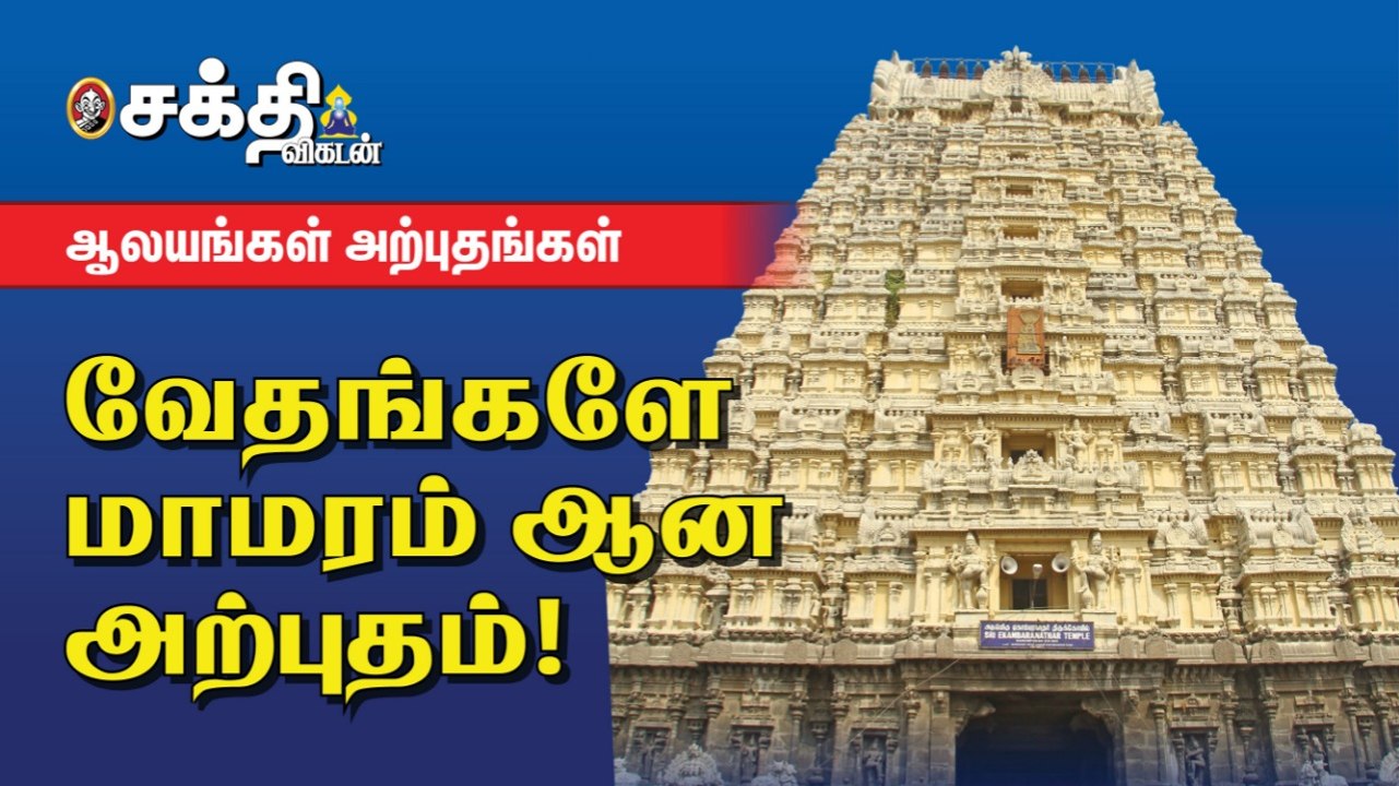 மங்கலம் அருளும் மாவடி சேவை | Kancheepuram |ஏகாம்பரேஸ்வரர் கோயில் அற்புதங்கள்! Sakthi Vikatan |