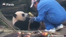 摸摸你的小肚肚