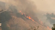 San Martino in Pensilis (CB) - Incendio di vegetazione: in azione Vigili del Fuoco (14.07.21)