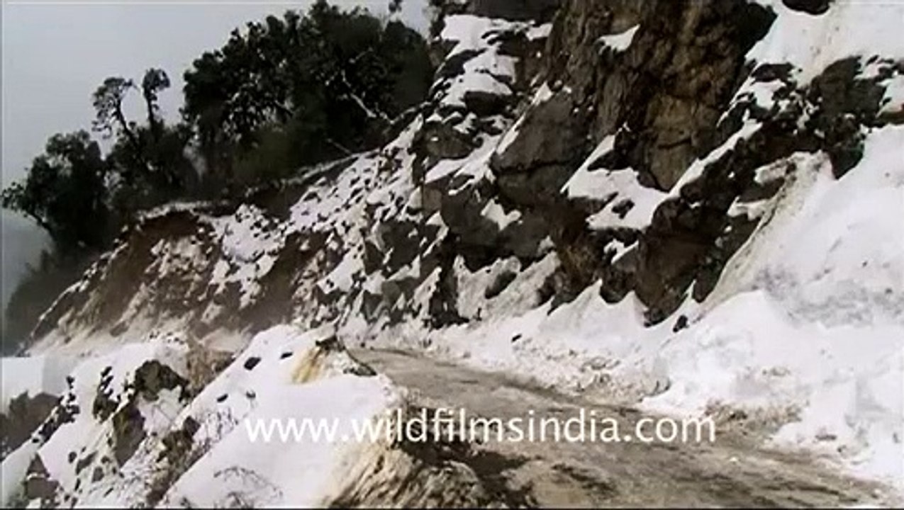 Mayodia pass in Arunachal Pradesh