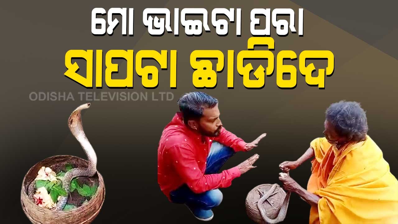 Member Of Kartabya Foundation, Balangir Frees Cobra From Serpent Charmer