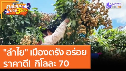 "ลำไย" เมืองตรัง อร่อย ราคาดี กิโลละ 70 (13 ก.ค. 64) คุยโขมงบ่าย 3 โมง
