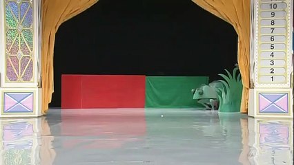 Chameleon  Amazing Performers