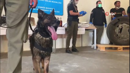 Edirne'de dev kaçakçılık operasyonu